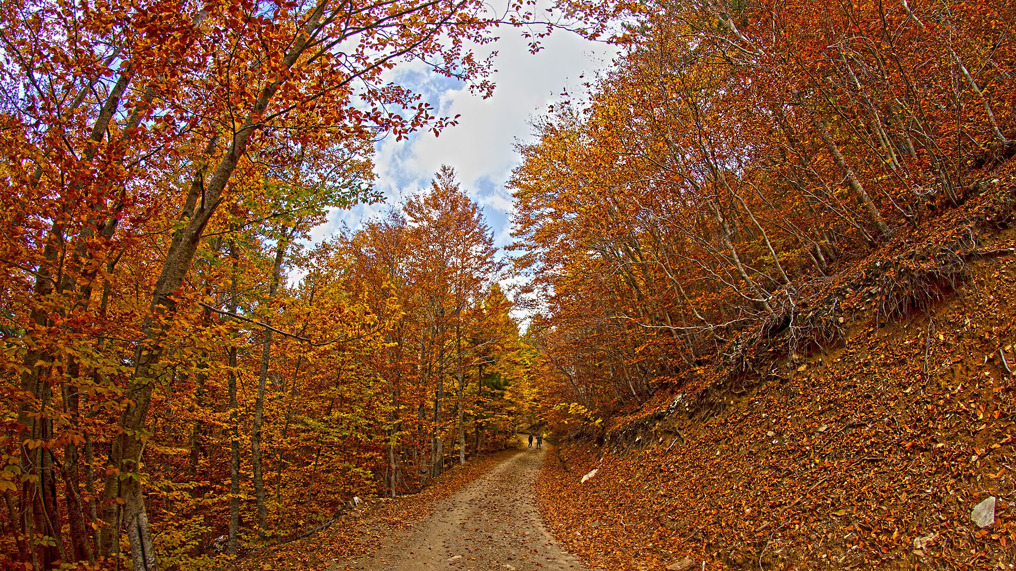 Osmaniyeliler Amanoslar’ın Hazan Renklerini Keşfediyor10