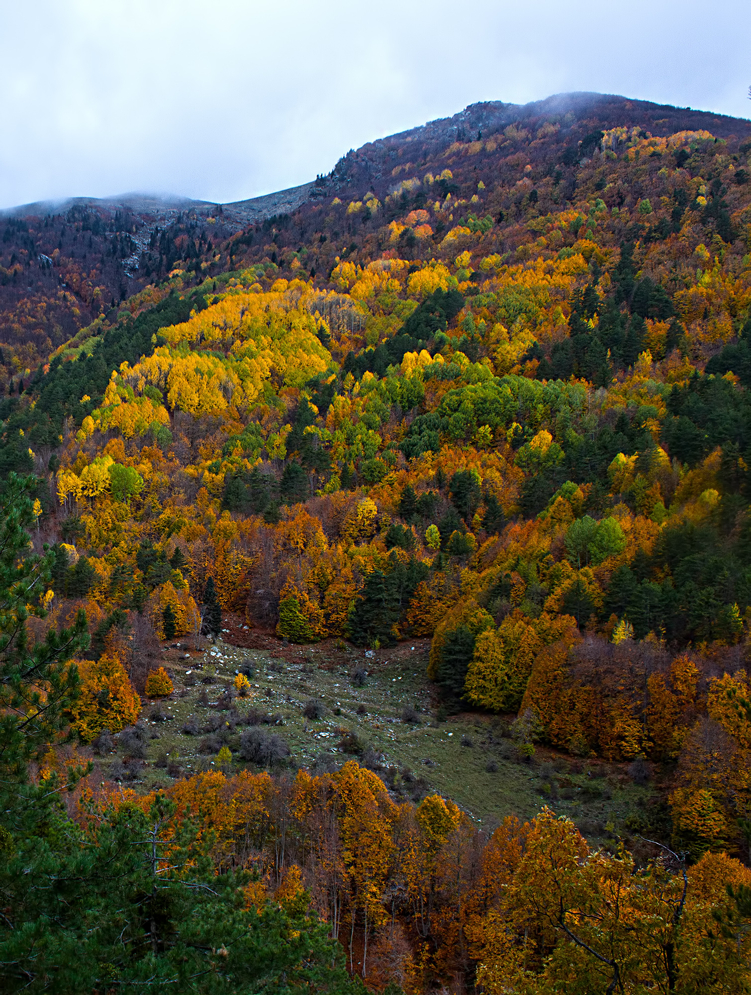 Osmaniyeliler Amanoslar’ın Hazan Renklerini Keşfediyor11