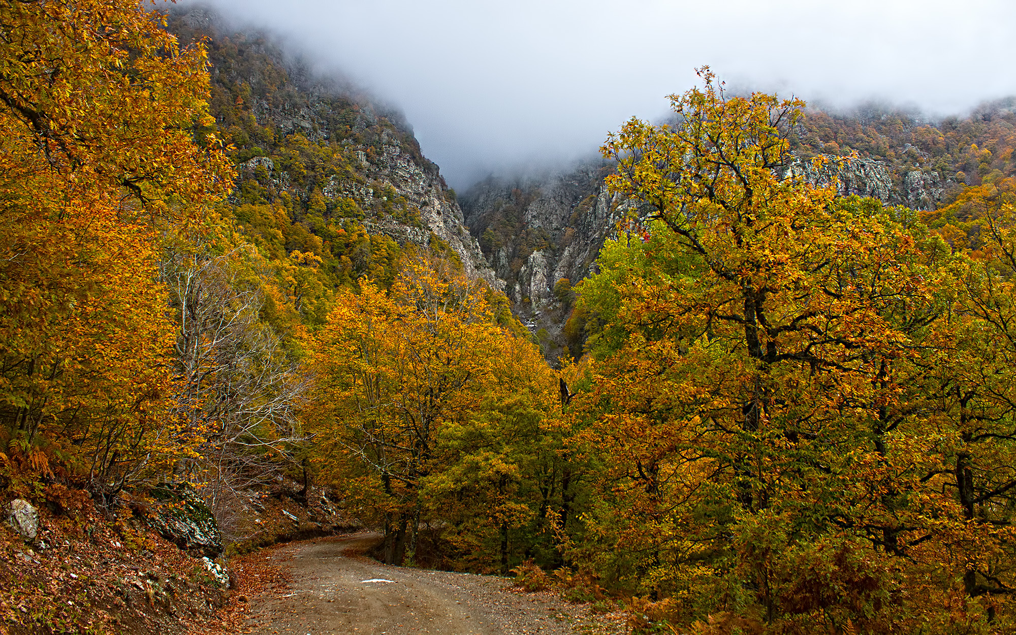 Osmaniyeliler Amanoslar’ın Hazan Renklerini Keşfediyor4