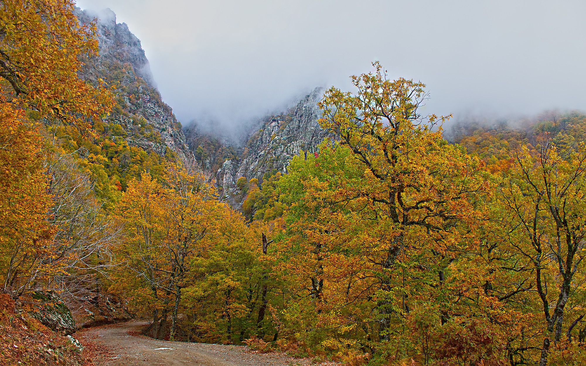 Osmaniyeliler Amanoslar’ın Hazan Renklerini Keşfediyor7