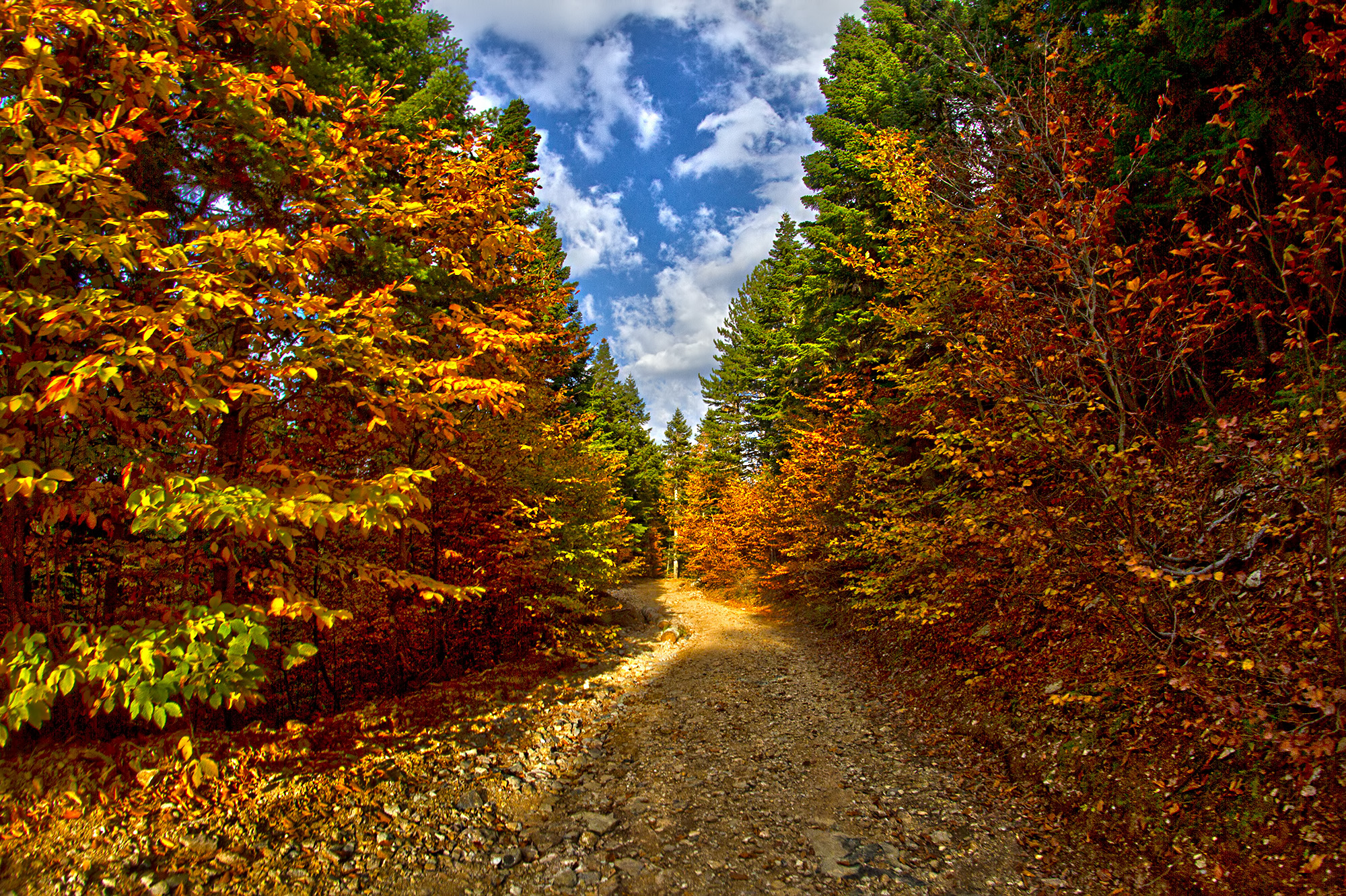 Osmaniyeliler Amanoslar’ın Hazan Renklerini Keşfediyor9
