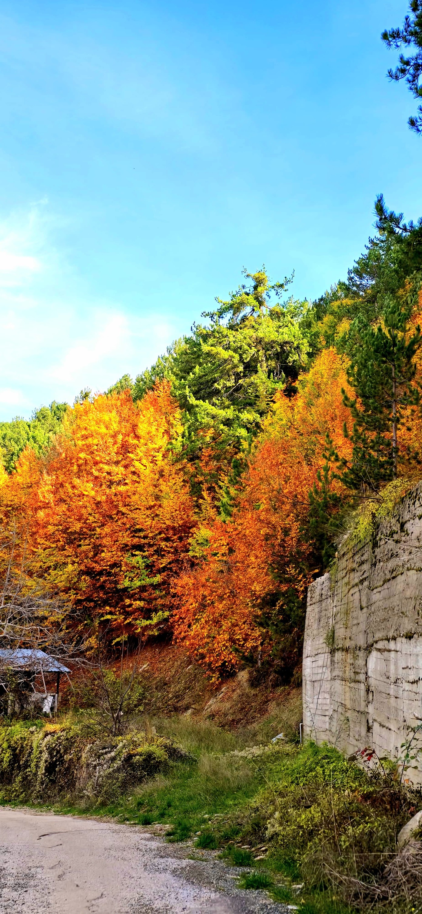 Osmaniyeliler Dervişpınarı Yaylası Ile Doğayla Buluşuyor4