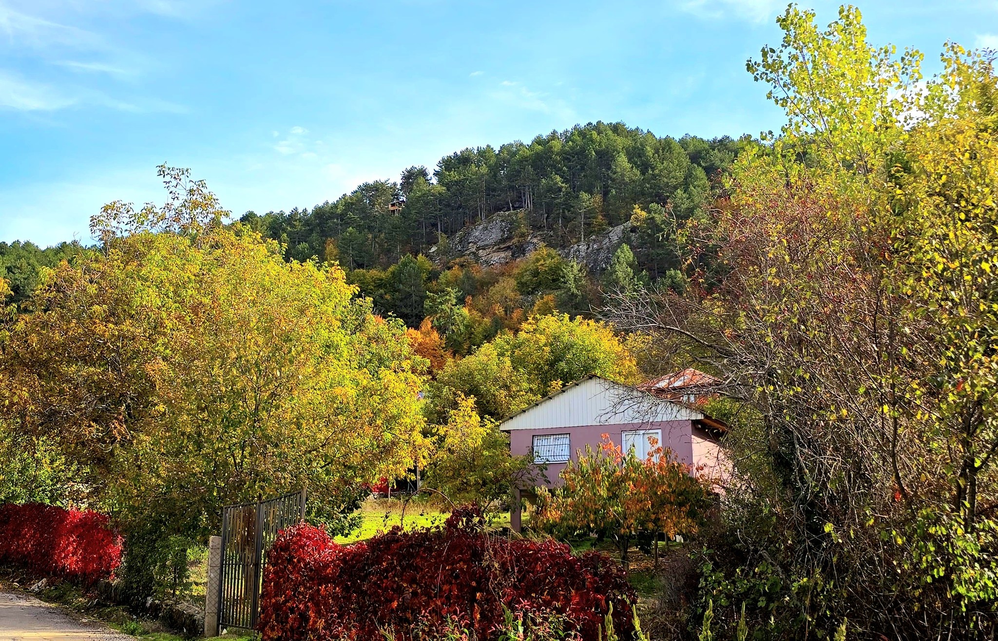 Osmaniyeliler Dervişpınarı Yaylası Ile Doğayla Buluşuyor5