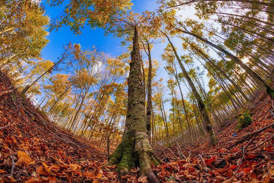 Osmaniyeliler Dumanlı’nın Sonbahar Güzelliklerini Keşfetti2