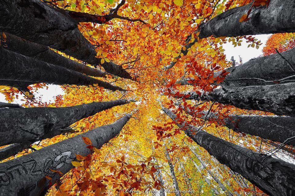 Osmaniyeliler Dumanlı’nın Sonbahar Güzelliklerini Keşfetti4