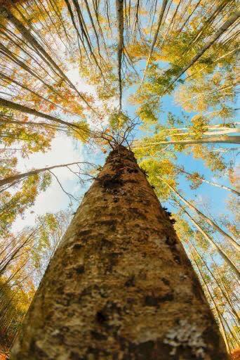 Osmaniyeliler Dumanlı’nın Sonbahar Güzelliklerini Keşfetti5