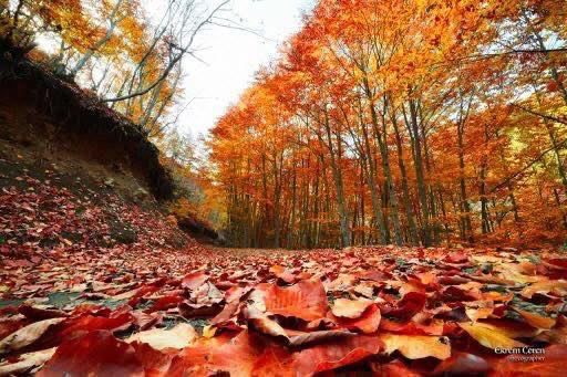 Osmaniyeliler Dumanlı’nın Sonbahar Güzelliklerini Keşfetti6