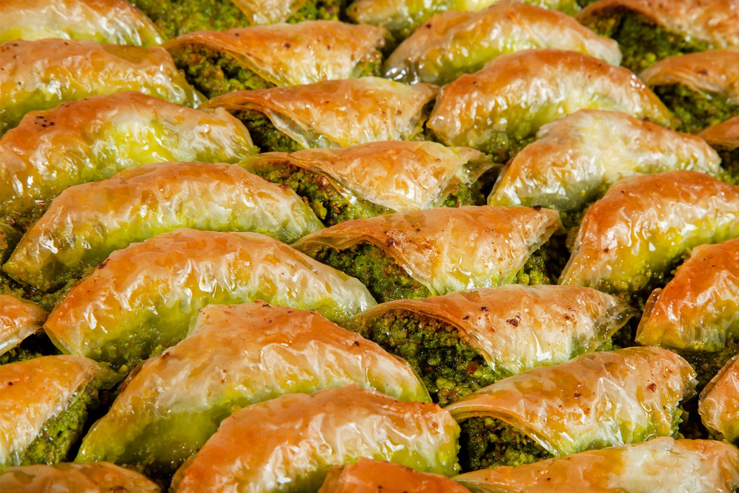 Osmaniyeliler Efsane Şöbiyetin Tadını Kaçırmasın2