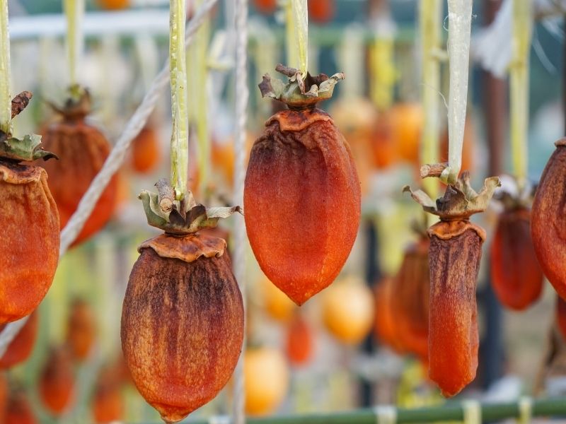 Osmaniyeliler İçin Cennet Hurmasını Saklamanın 6 Tüyosu3