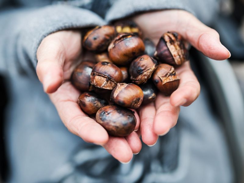 Osmaniyeliler İçin Kestane Tuzlu Suda Bekletme Sırrı5
