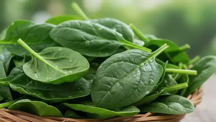 Osmaniyeliler İçin Yüksek Tansiyonu Dengeleyen 17 Yiyecek6