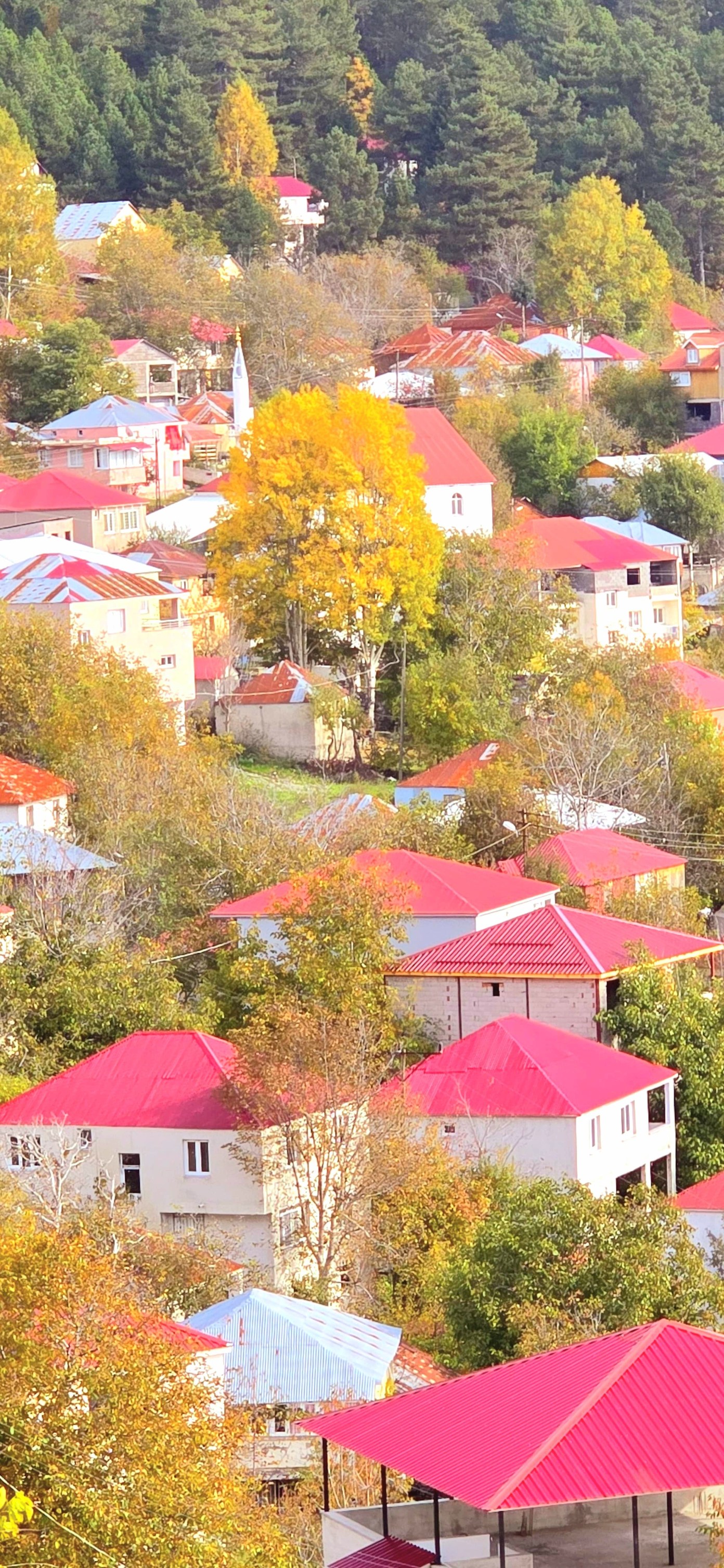 Osmaniyeliler Üçkoz Yaylası’nda Sonbaharı Karşıladı2