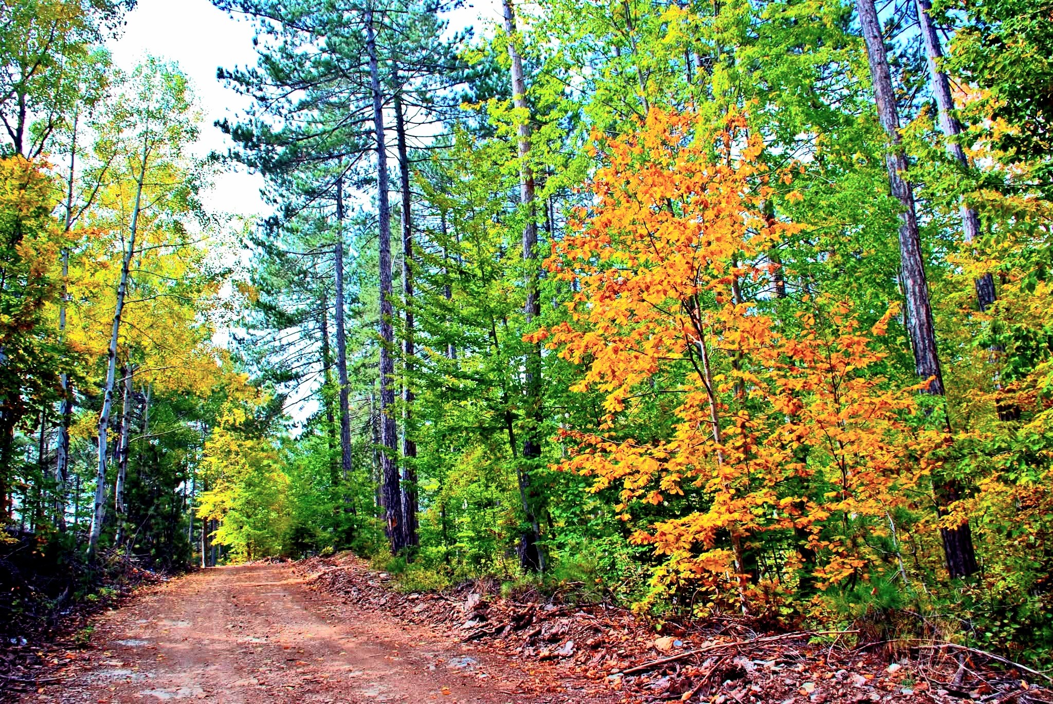 Osmaniye’nin Doğal Güzellikleri Sonbahar Ile Canlanıyor3
