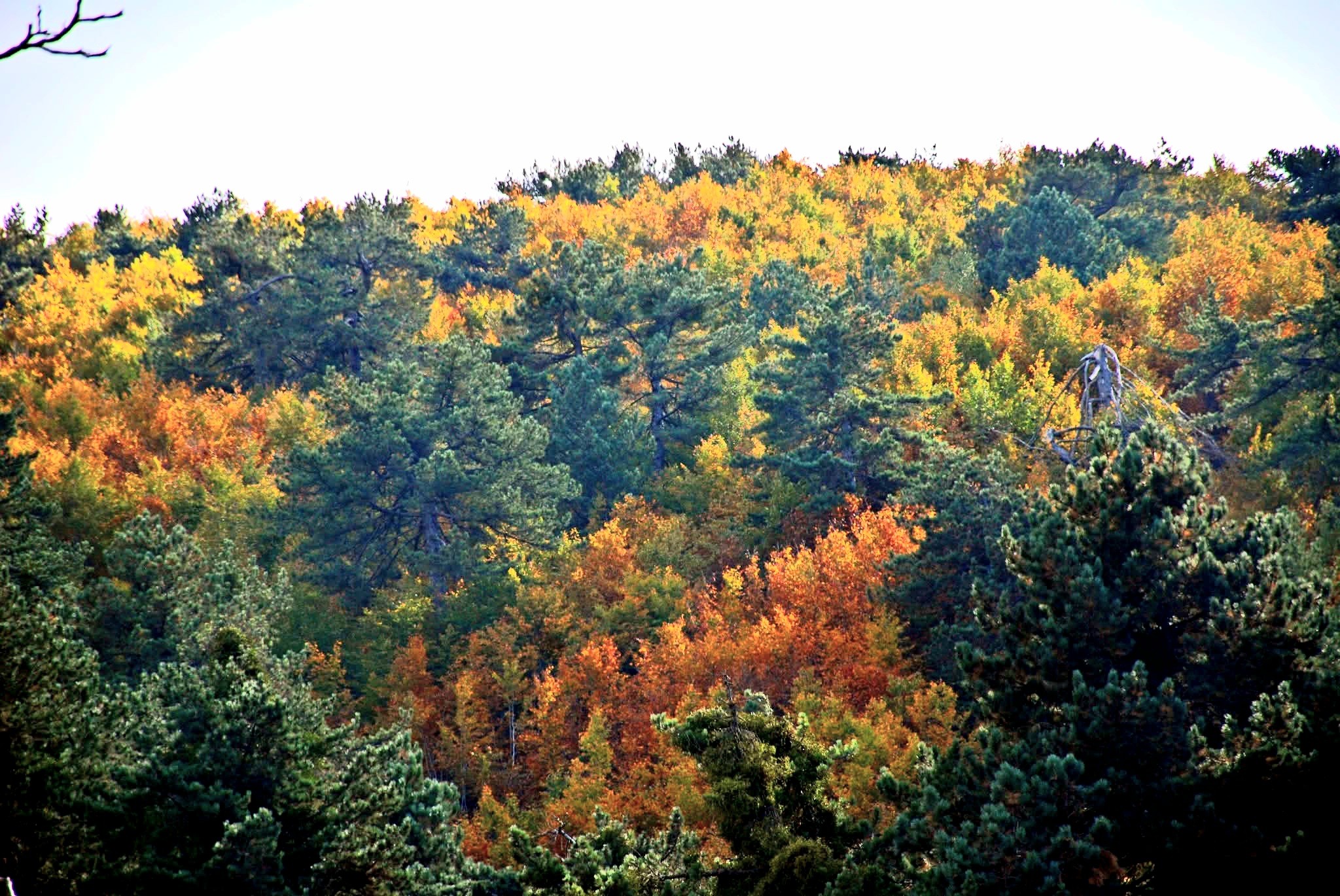 Osmaniye’nin Doğal Güzellikleri Sonbahar Ile Canlanıyor4