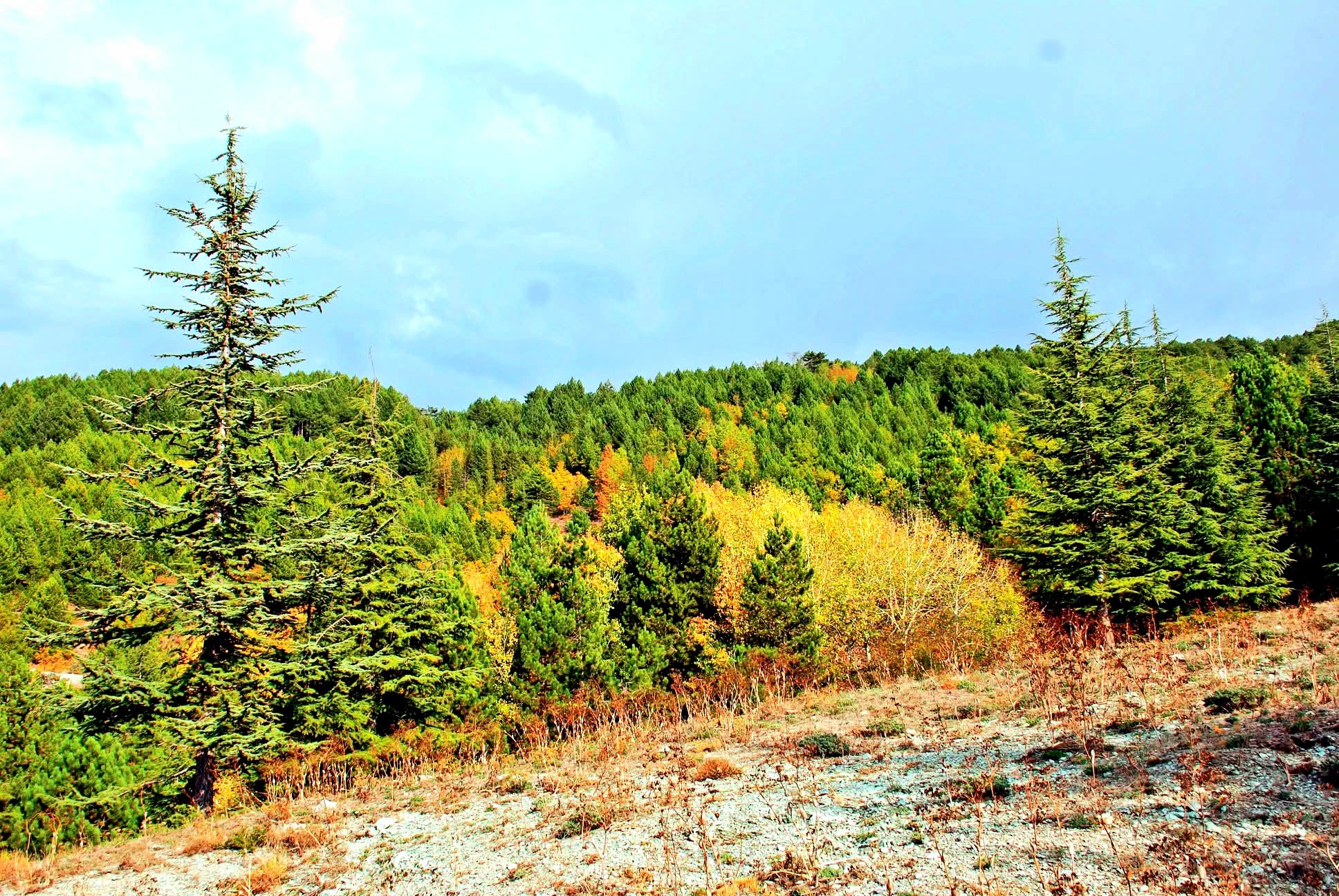 Osmaniye’nin Doğal Güzellikleri Sonbahar Ile Canlanıyor5