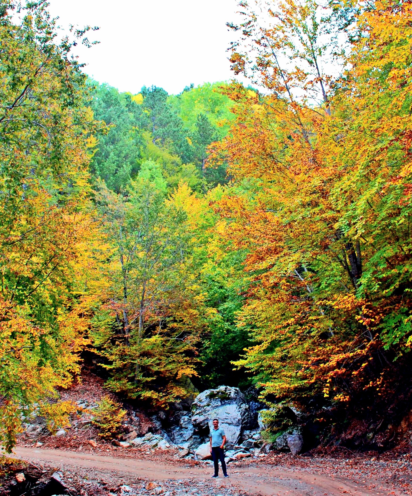 Osmaniye’nin Doğal Güzellikleri Sonbahar Ile Canlanıyor6