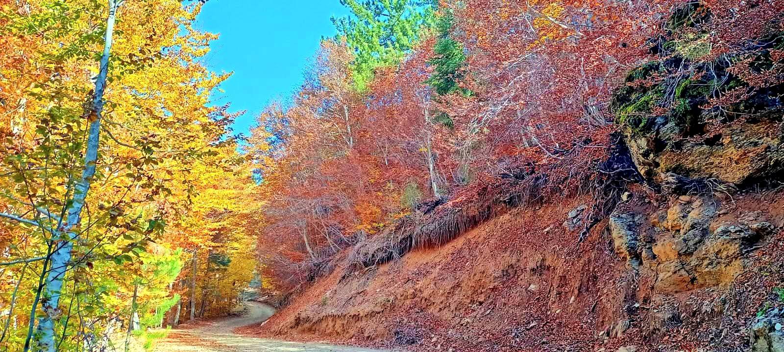 Osmaniye’nin Doğal Güzellikleri Sonbahar Ile Canlanıyor7