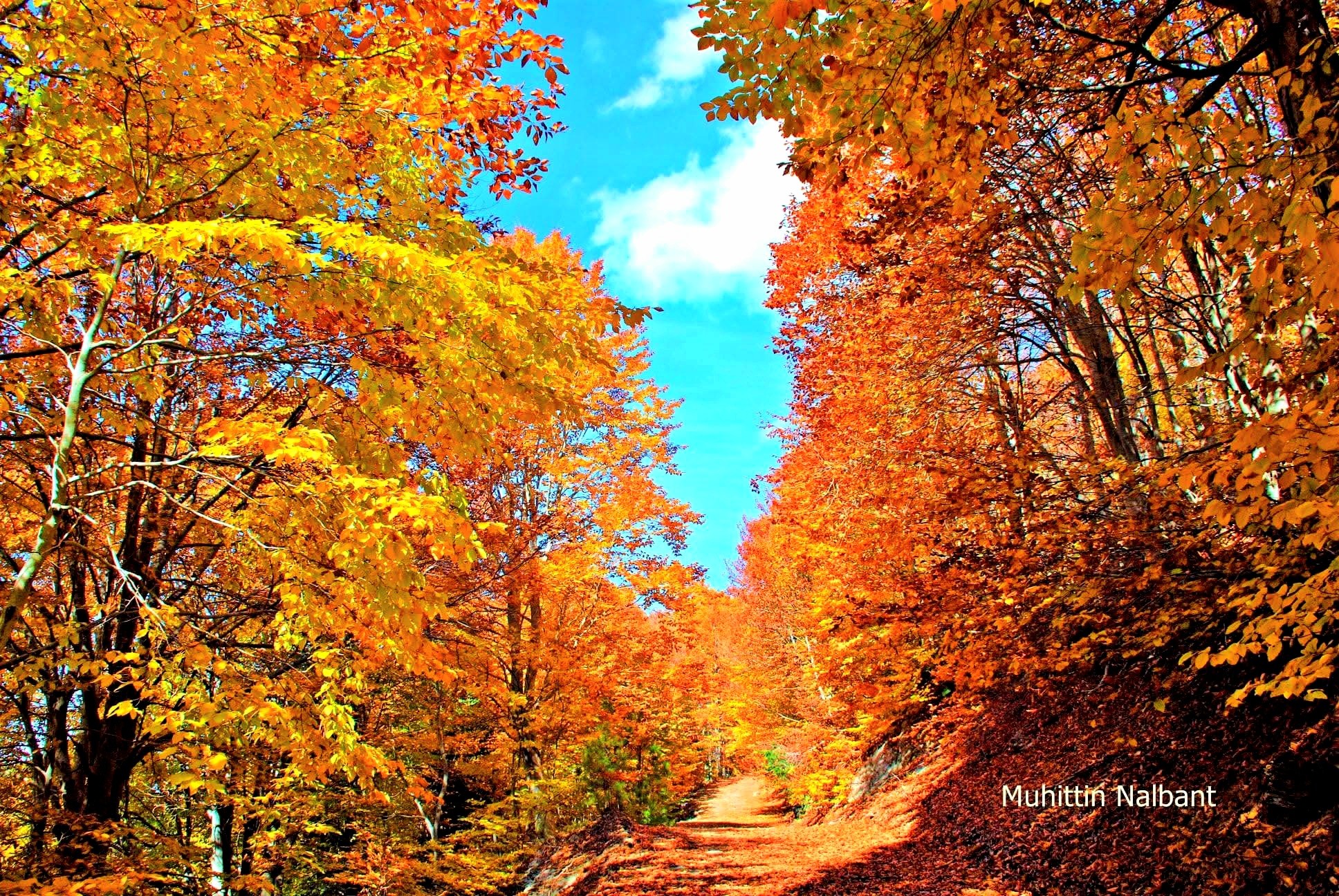 Osmaniye’nin Gözdesi Zorkun Keldaz Yolu2