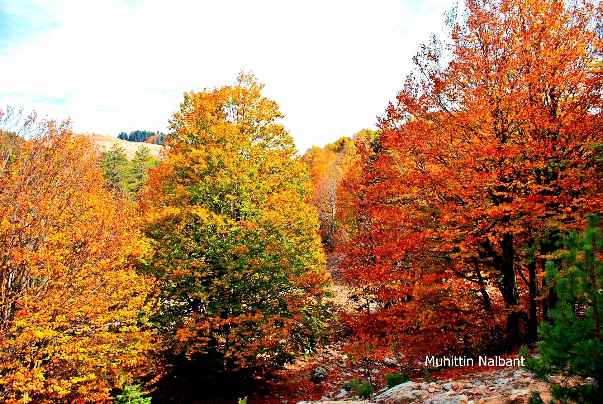 Osmaniye’nin Gözdesi Zorkun Keldaz Yolu3