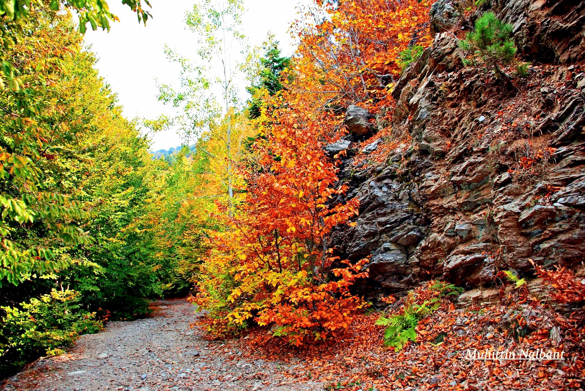 Osmaniye’nin Gözdesi Zorkun Keldaz Yolu5