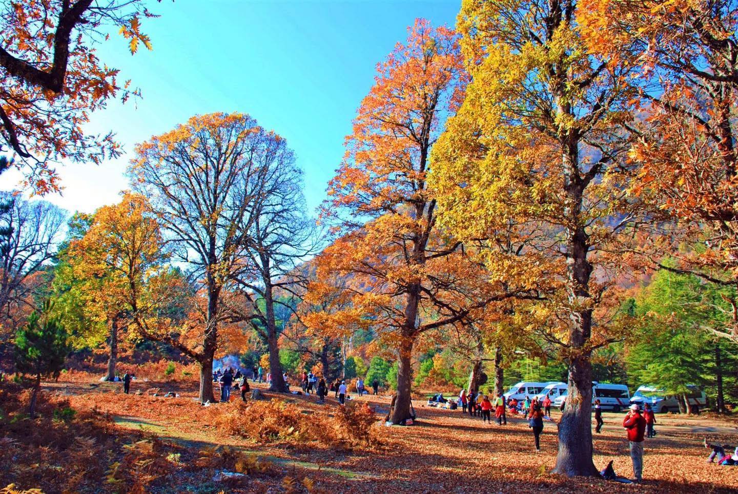 Osmaniye’nin Küllü Köyü Sonbaharda Büyülüyor (2)