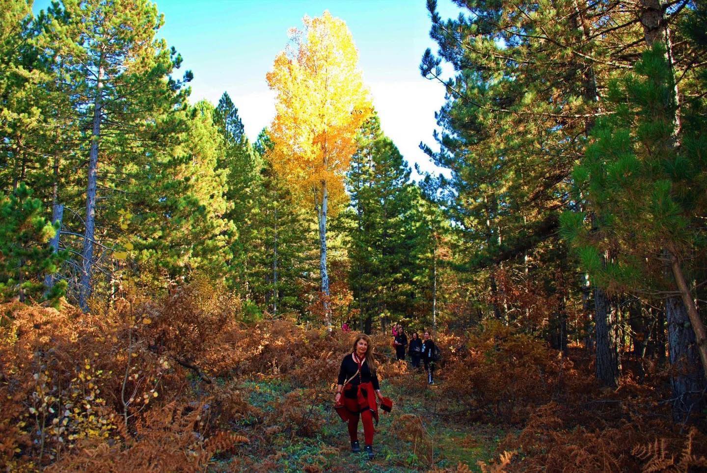 Osmaniye’nin Küllü Köyü Sonbaharda Büyülüyor (3)
