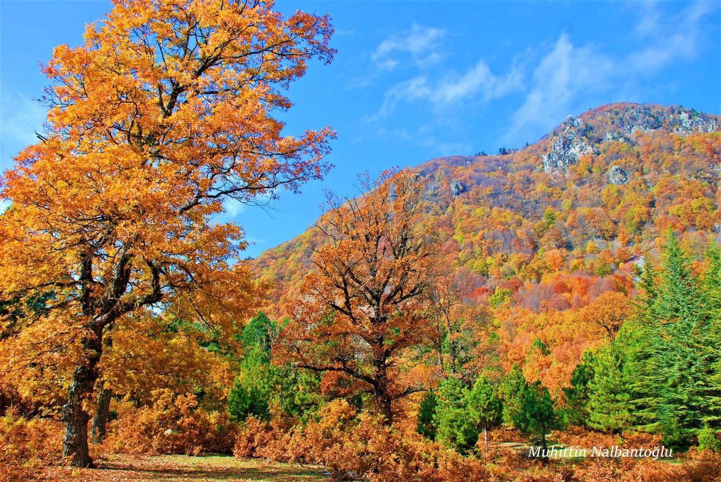 Osmaniye’nin Küllü Köyü Sonbaharda Büyülüyor (4)