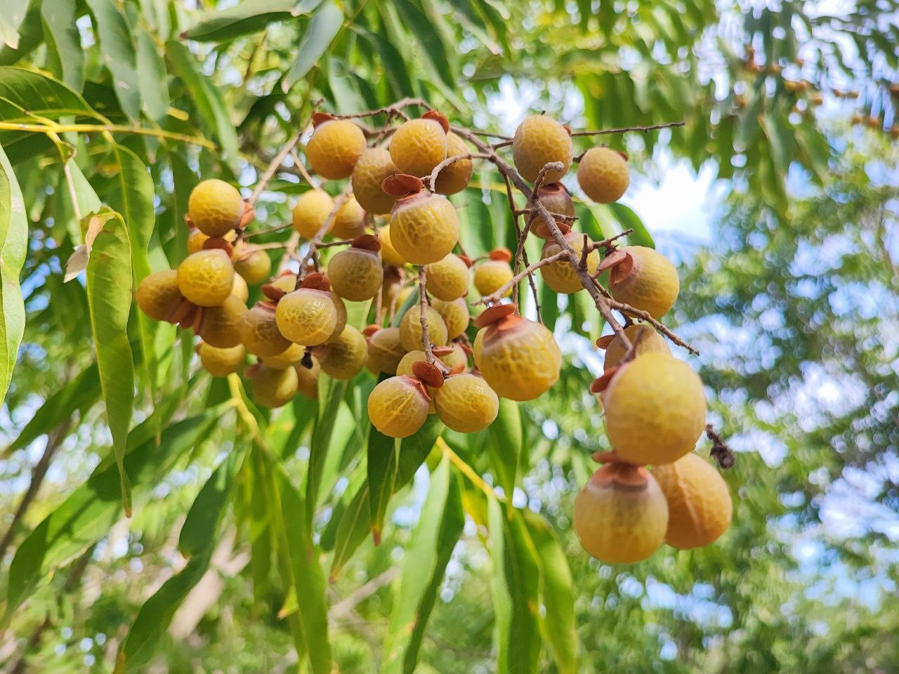 Sıfır Atık Projesi Ceyhan’da Meyvesini Verdi (1)