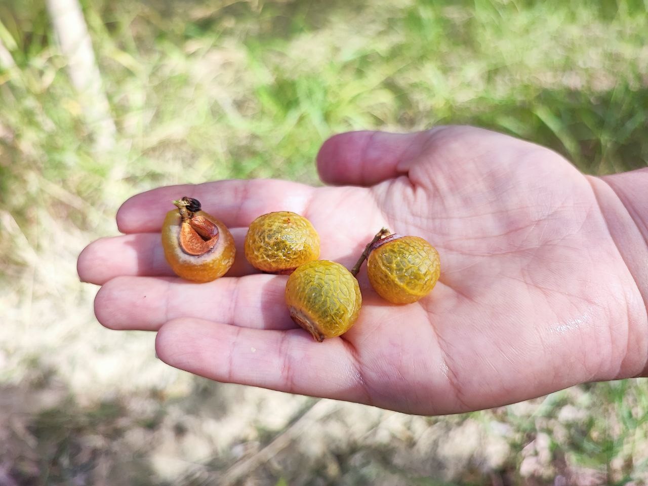 Sıfır Atık Projesi Ceyhan’da Meyvesini Verdi (3)