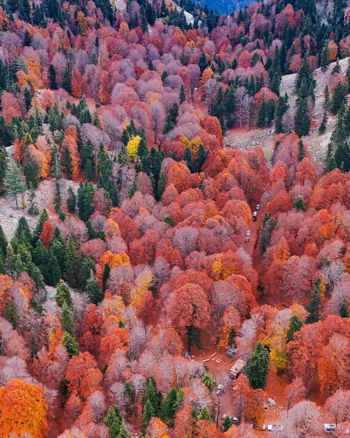 Sumbas Yirce Yaylası’nda Doğanın Renk Cümbüşü2