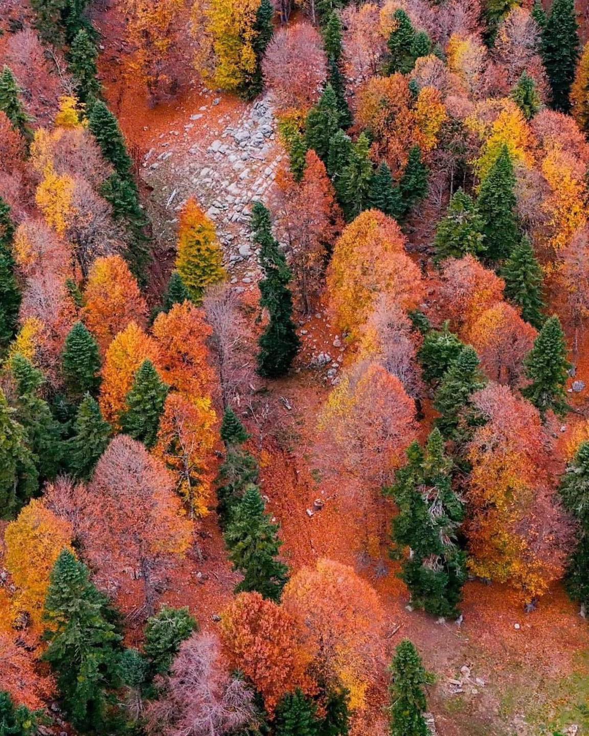 Sumbas Yirce Yaylası’nda Doğanın Renk Cümbüşü3