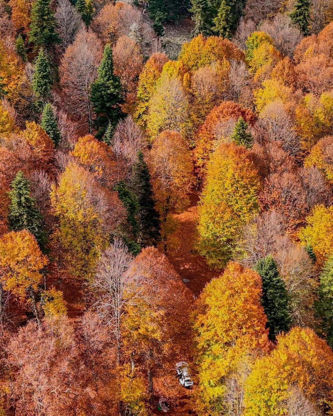 Sumbas Yirce Yaylası’nda Doğanın Renk Cümbüşü4