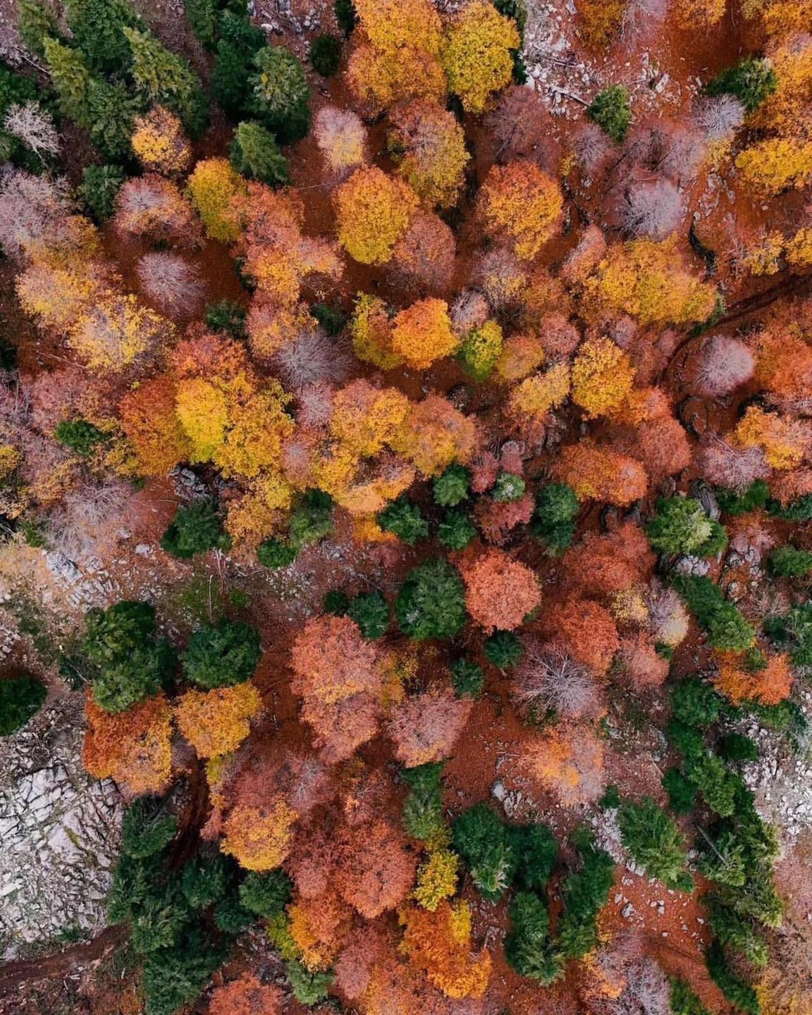 Sumbas Yirce Yaylası’nda Doğanın Renk Cümbüşü7