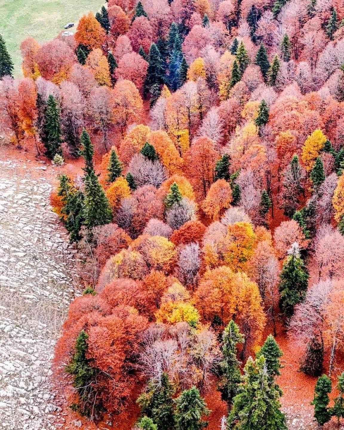 Sumbas Yirce Yaylası’nda Doğanın Renk Cümbüşü8