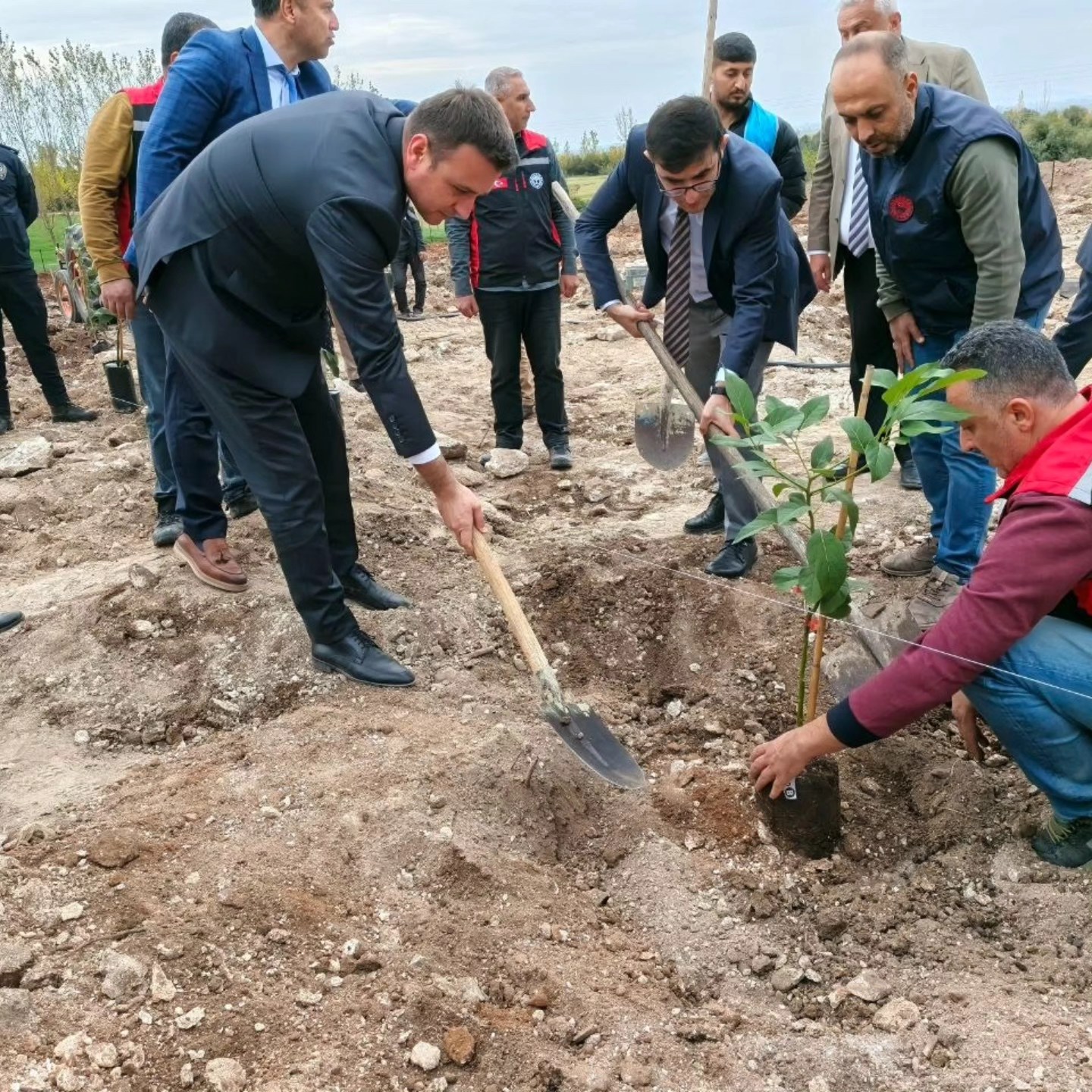 Sumbas’ta Sertifikalı Avokado Bahçesi Kuruldu (3)