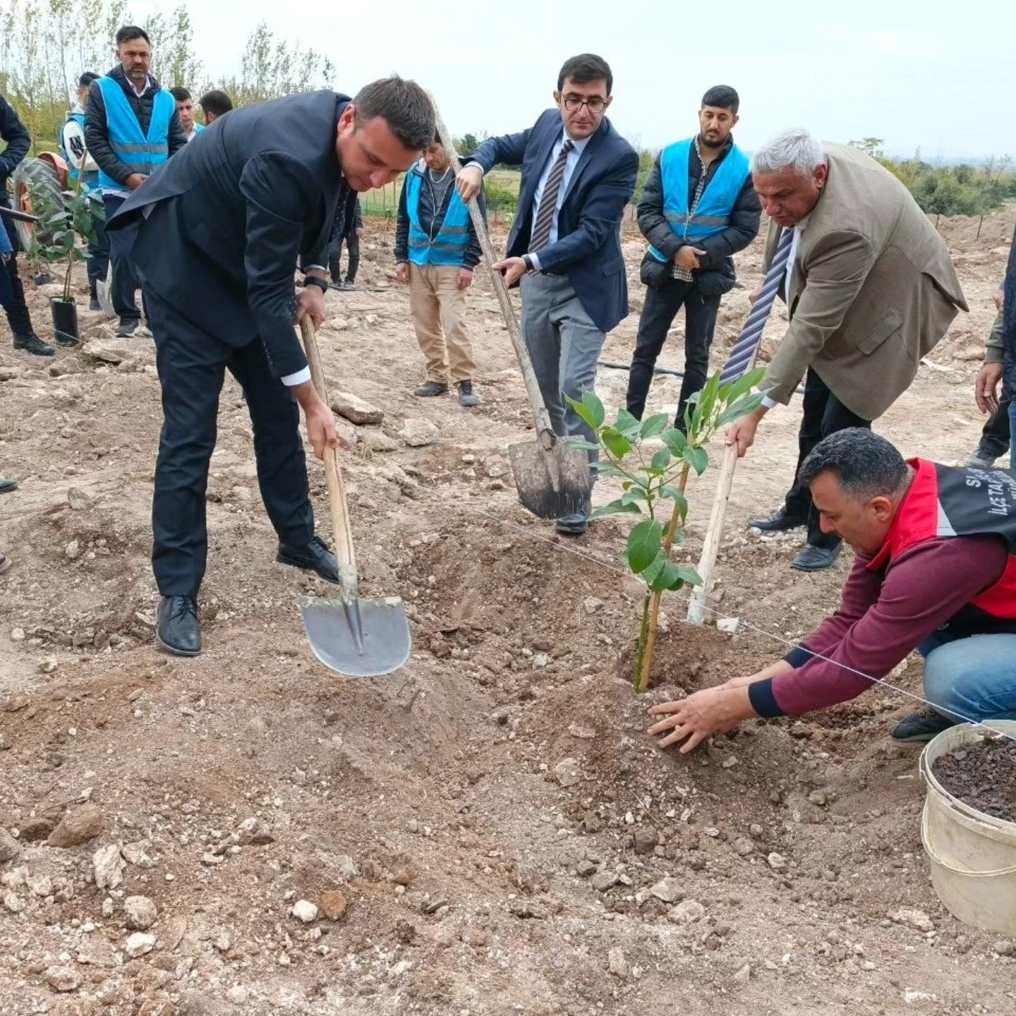 Sumbas’ta Sertifikalı Avokado Bahçesi Kuruldu (4)