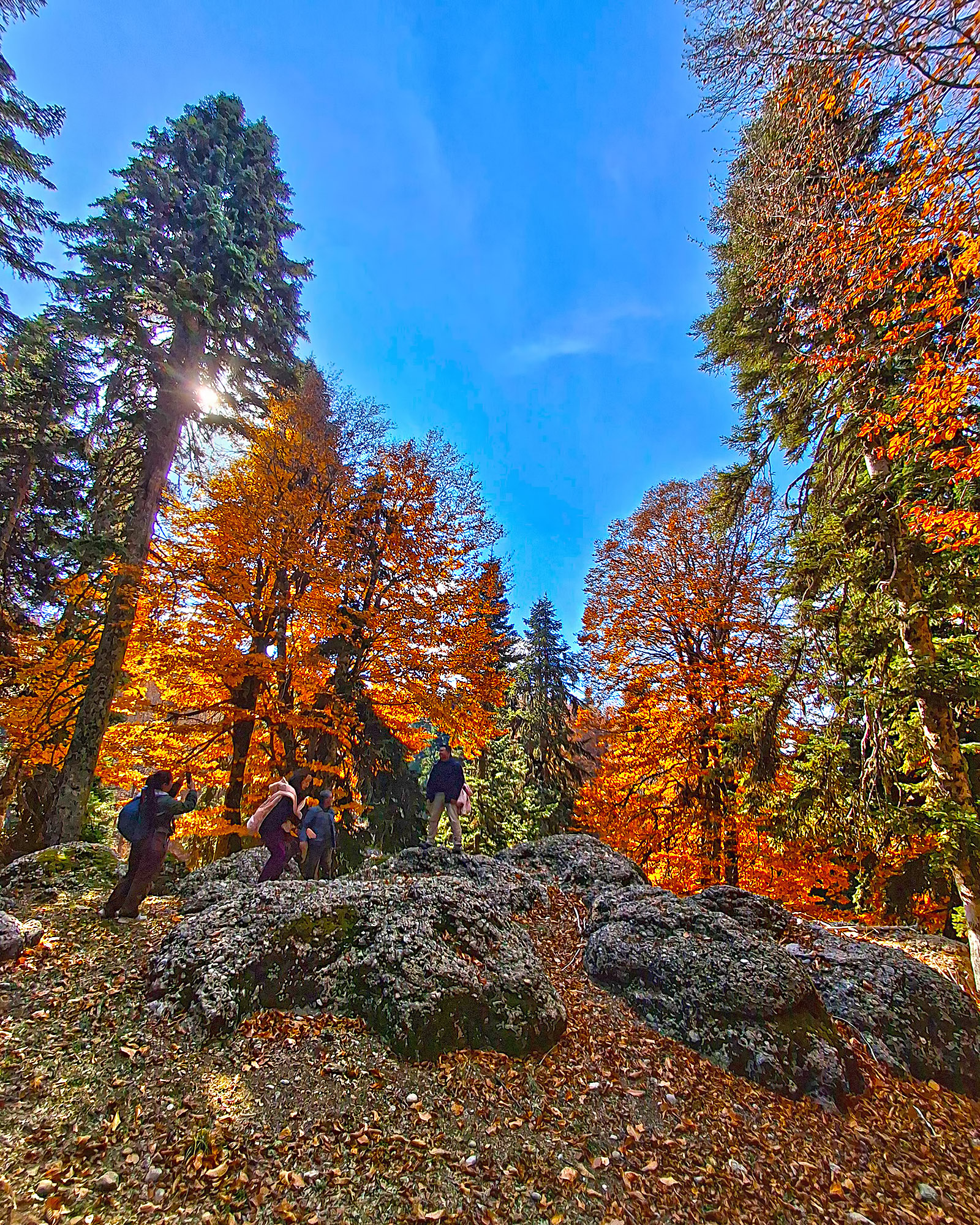 Toklu Yaylası Sumbas’ın Doğal Güzelliği Ziyaretçilerini Bekliyor6