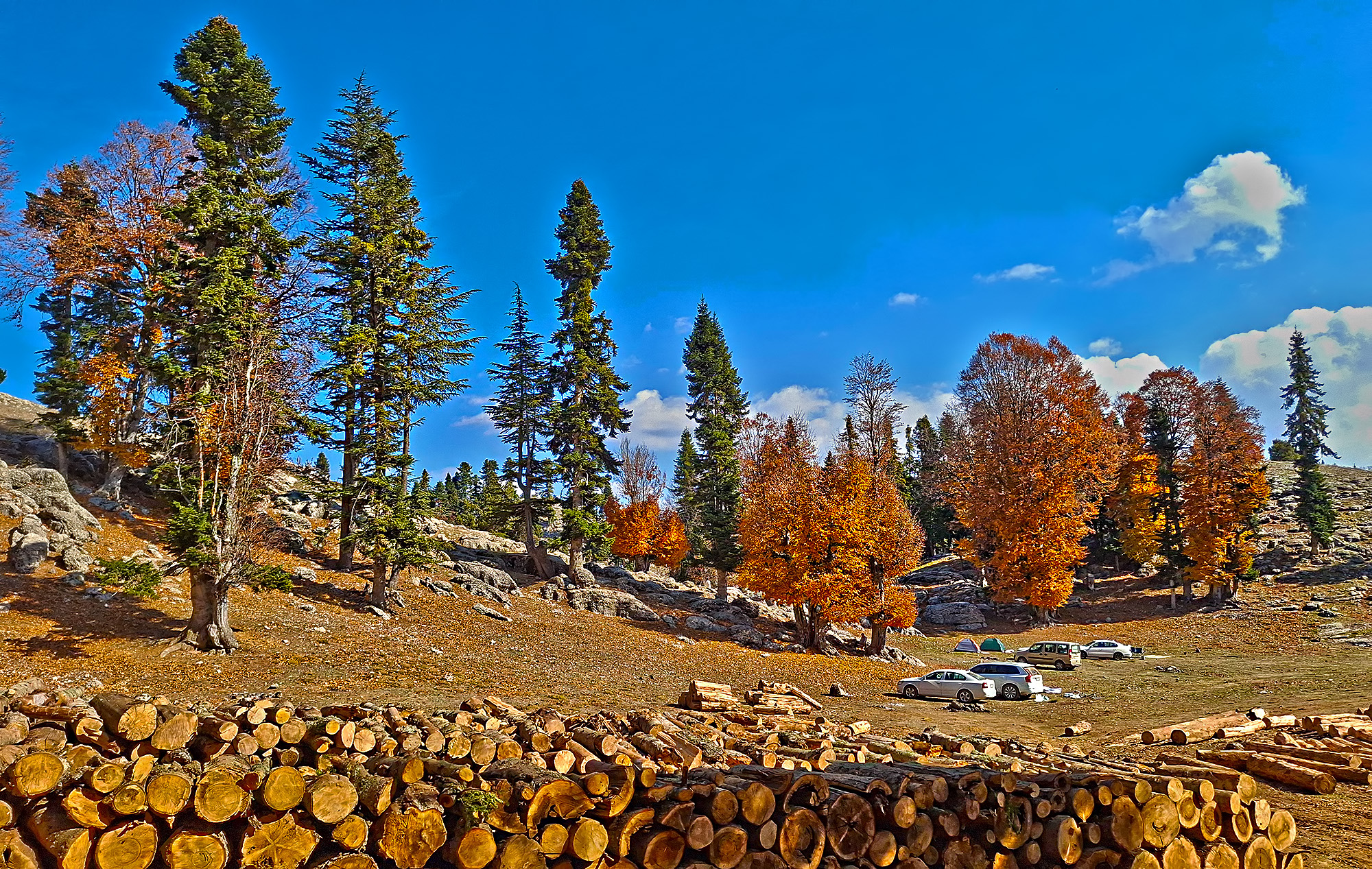 Toklu Yaylası Sumbas’ın Doğal Güzelliği Ziyaretçilerini Bekliyor7