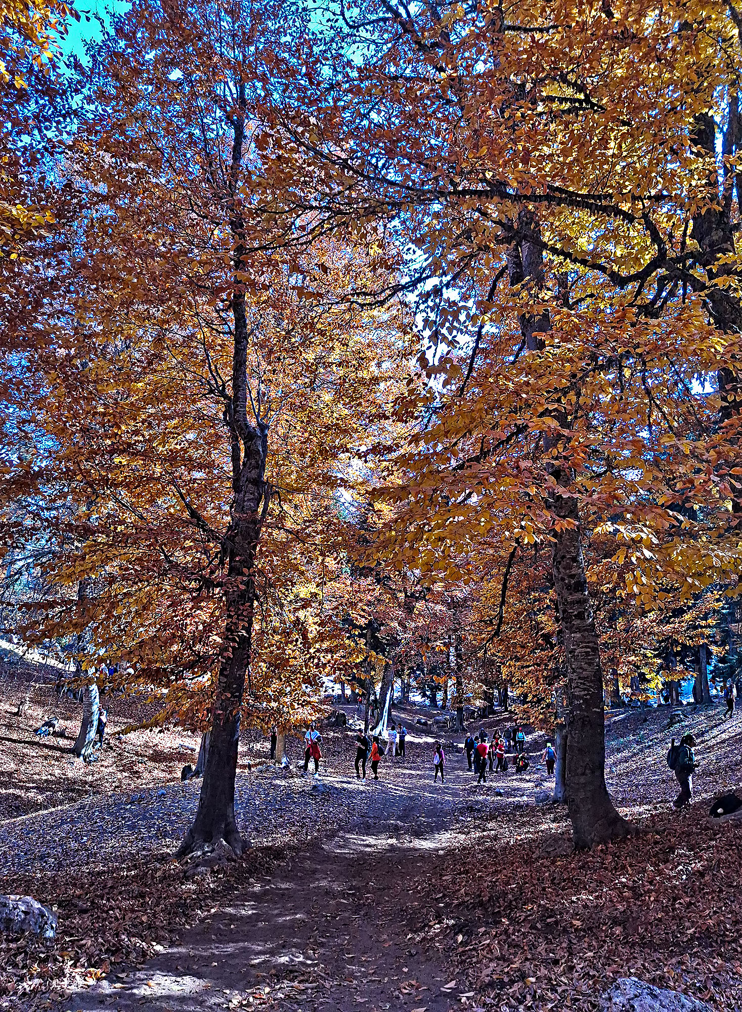Toklu Yaylası Sumbas’ın Doğal Güzelliği Ziyaretçilerini Bekliyor8