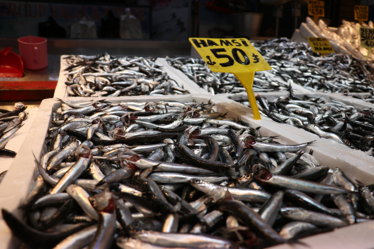 Trabzon’da Hamsi 50 Liraya Düştü2