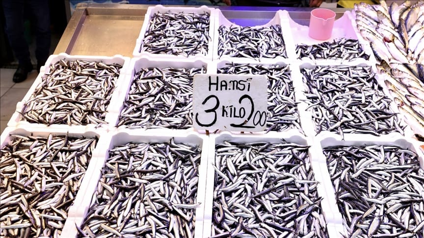 Trabzon’da Hamsi Kilosu 75 Tl’ye Düştü Vatandaş Memnun2