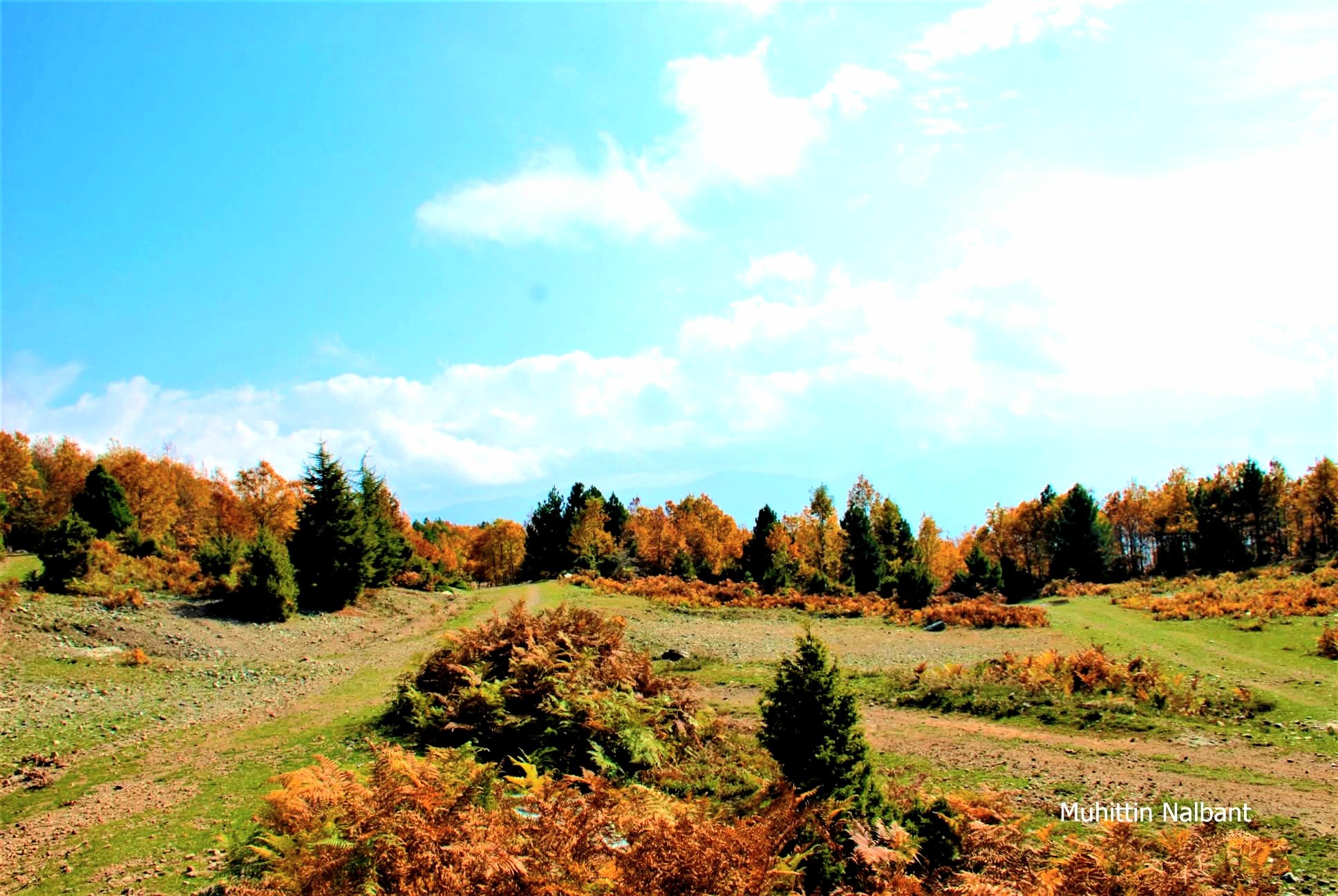 Zorkun–Antentepe–Taşlıufacık Yaylası Arasında Doğanın Kalbinde Bir Rota (3)