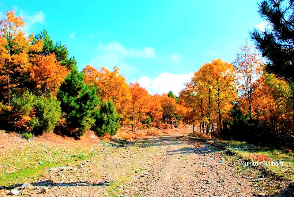 Zorkun–Antentepe–Taşlıufacık Yaylası Arasında Doğanın Kalbinde Bir Rota (4)