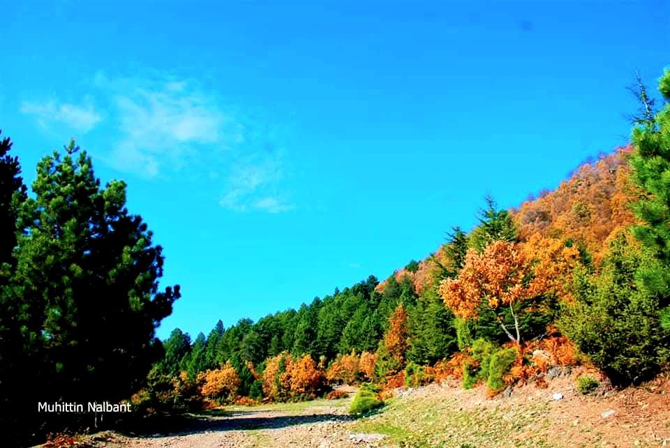 Zorkun–Antentepe–Taşlıufacık Yaylası Arasında Doğanın Kalbinde Bir Rota (7)