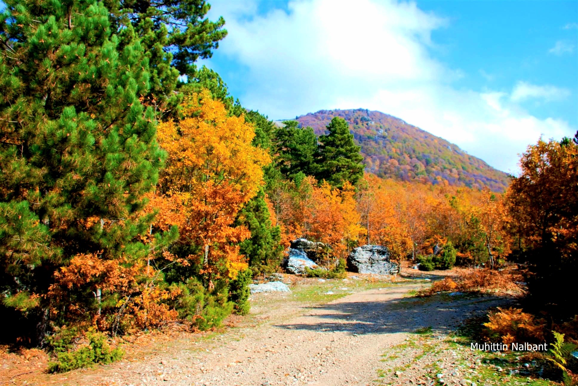 Zorkun–Antentepe–Taşlıufacık Yaylası Arasında Doğanın Kalbinde Bir Rota (8)