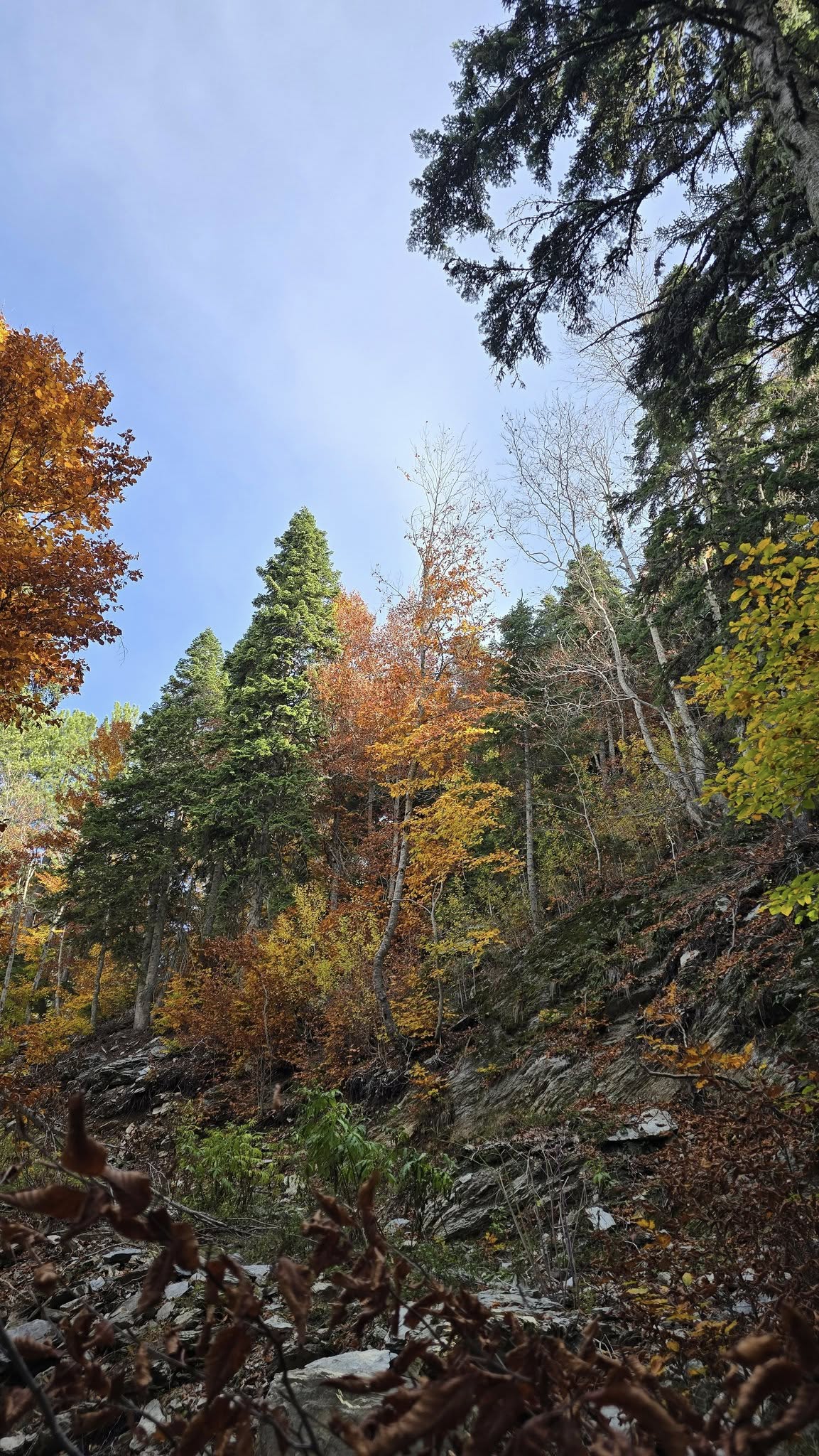 Zorkun Kuyucak’ta Sonbahar Renk Cümbüşü (1)