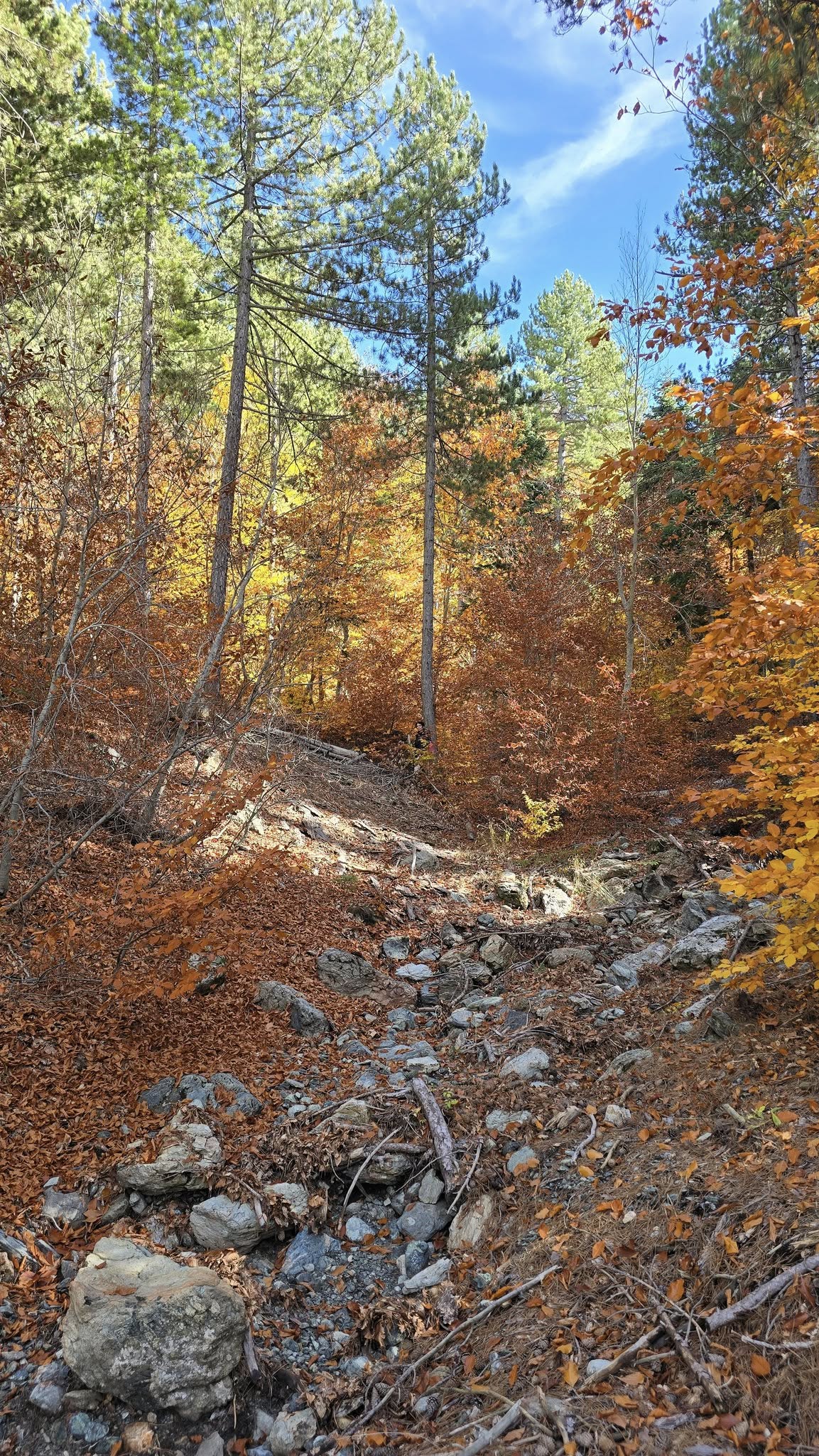 Zorkun Kuyucak’ta Sonbahar Renk Cümbüşü (4)