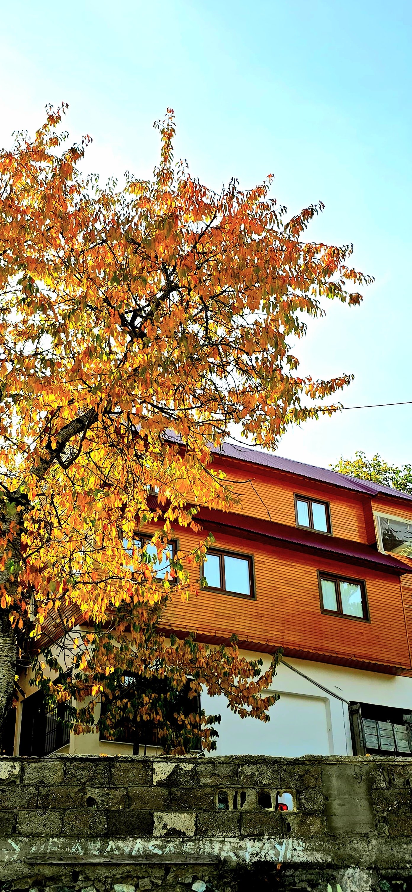 Zorkun Yaylası Sonbaharda Renk Cümbüşüyle Büyülüyor3