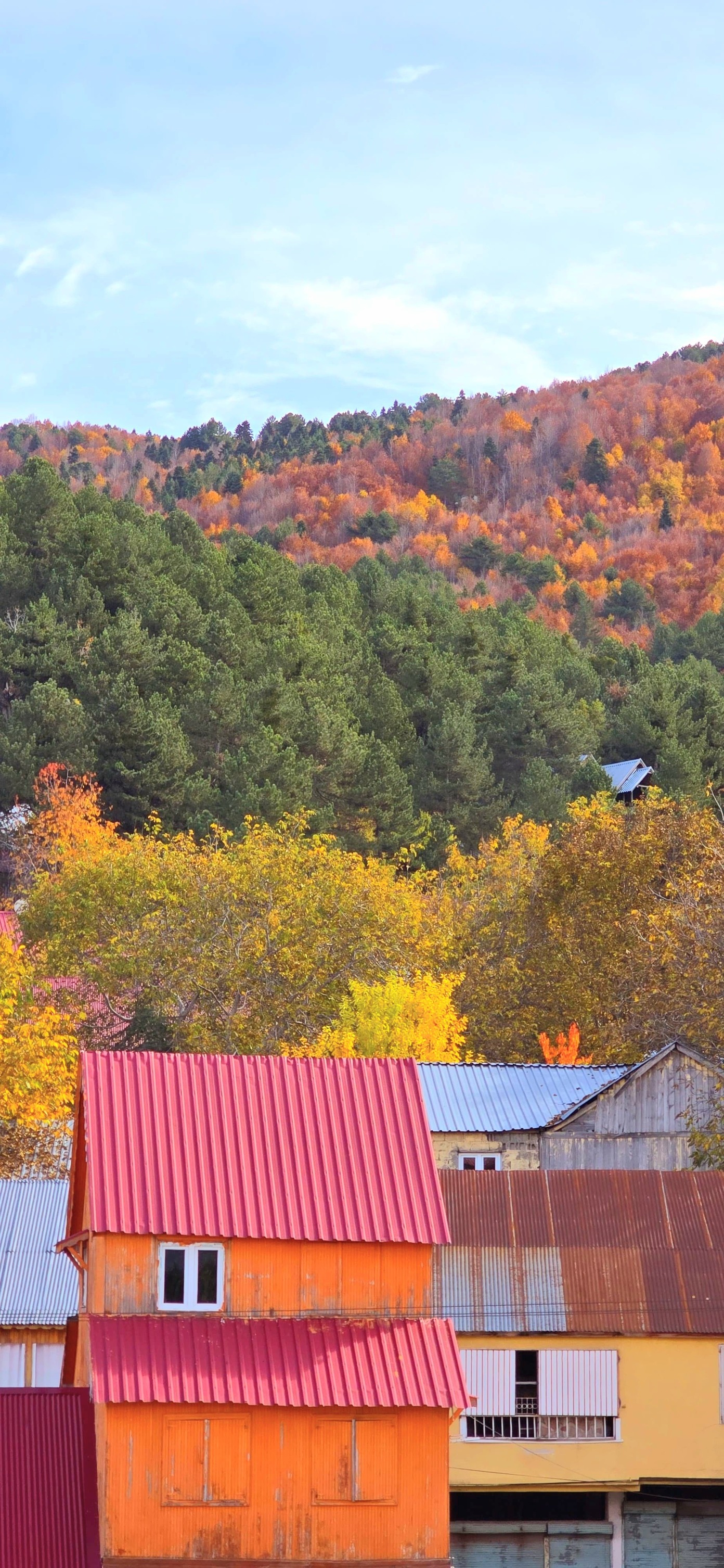 Zorkun Yaylası Sonbaharda Renk Cümbüşüyle Büyülüyor5