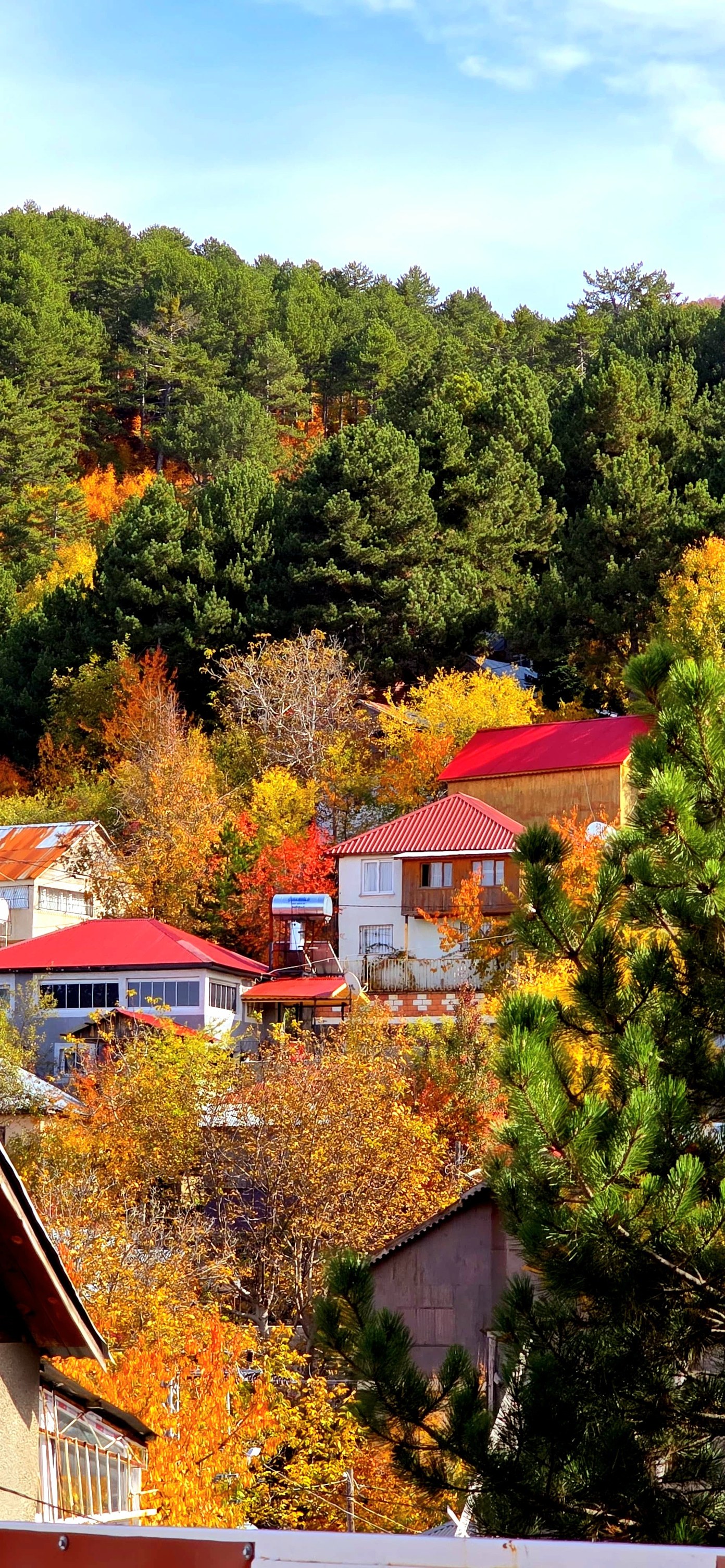 Zorkun Yaylası’nda Bahratın Gözü Büyülüyor2